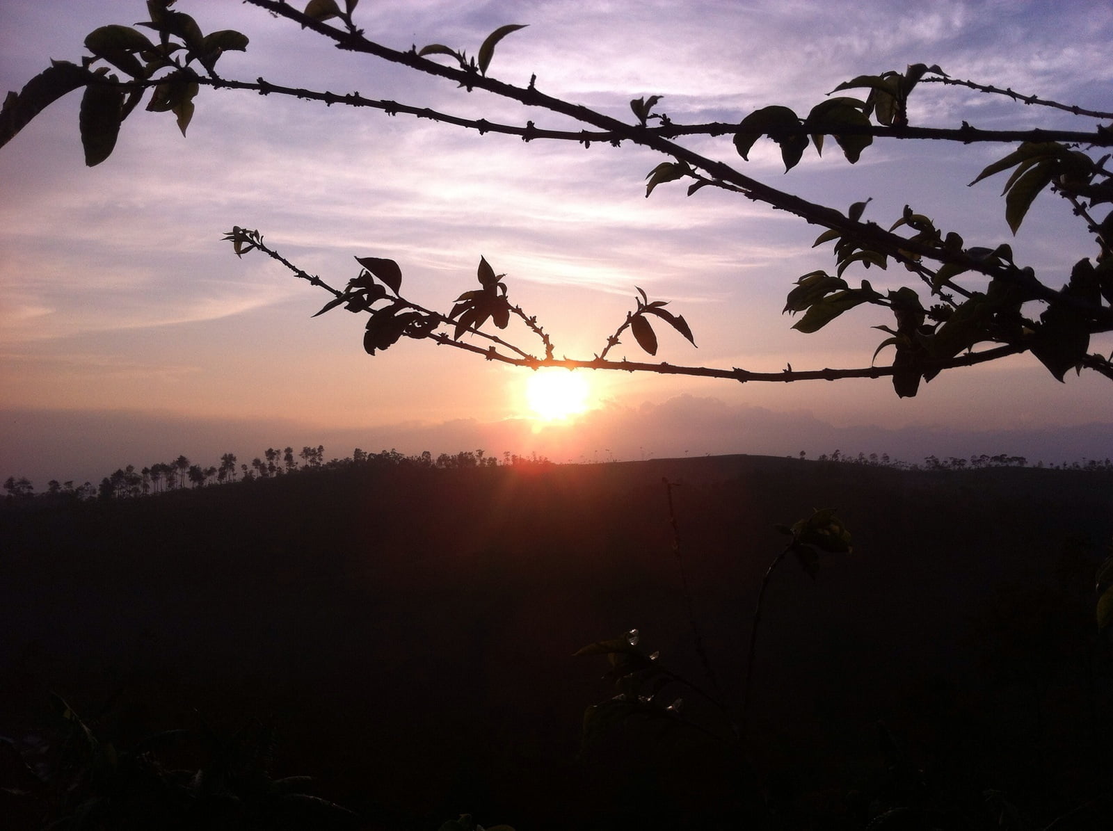 Analisis S.W.O.T Program Pengembangan Sumber Daya Manusia (Kajian Rutin Masjid Al-Mujahidin UNY)